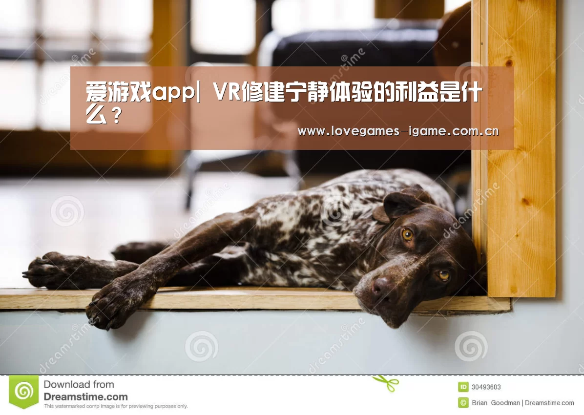 爱游戏官网