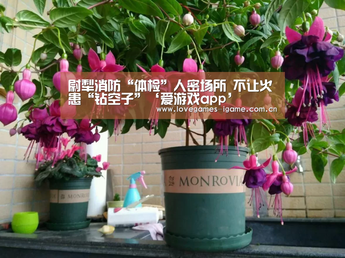 爱游戏